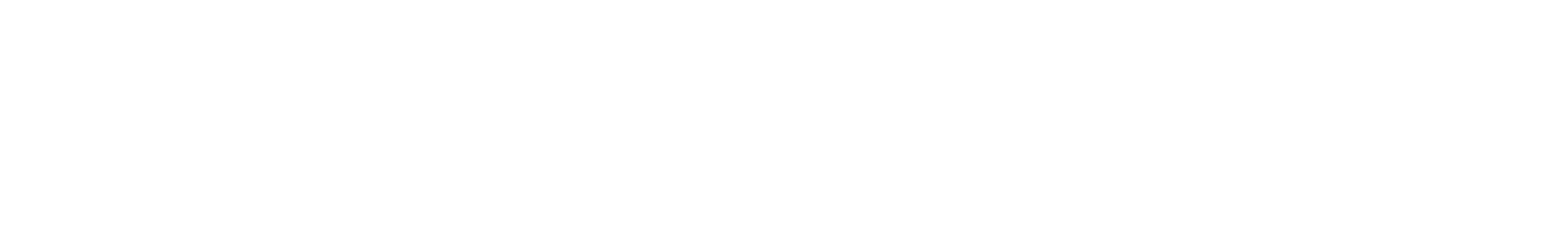 logo_vissonic