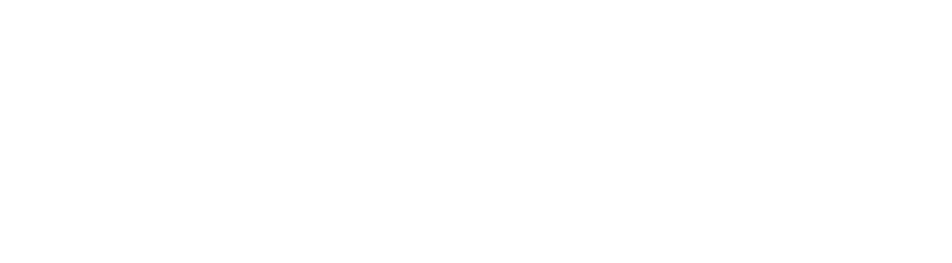 opus_logo